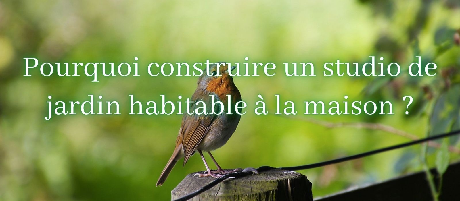 Pourquoi construire un studio de jardin habitable à la maison