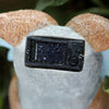 Animaux solaire exterieur Hibou Escargot Tortue