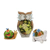 Animaux solaire exterieur Hibou Escargot Tortue