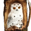 hibou-lampe