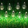 Guirlande Solaire Ampoules Claire LED (10/20/30)