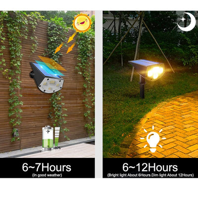 Lampe solaire jardin a piquer
