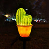 cactus lumineux solaire