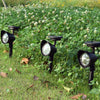 [product_mata_title] - Lampe Solar