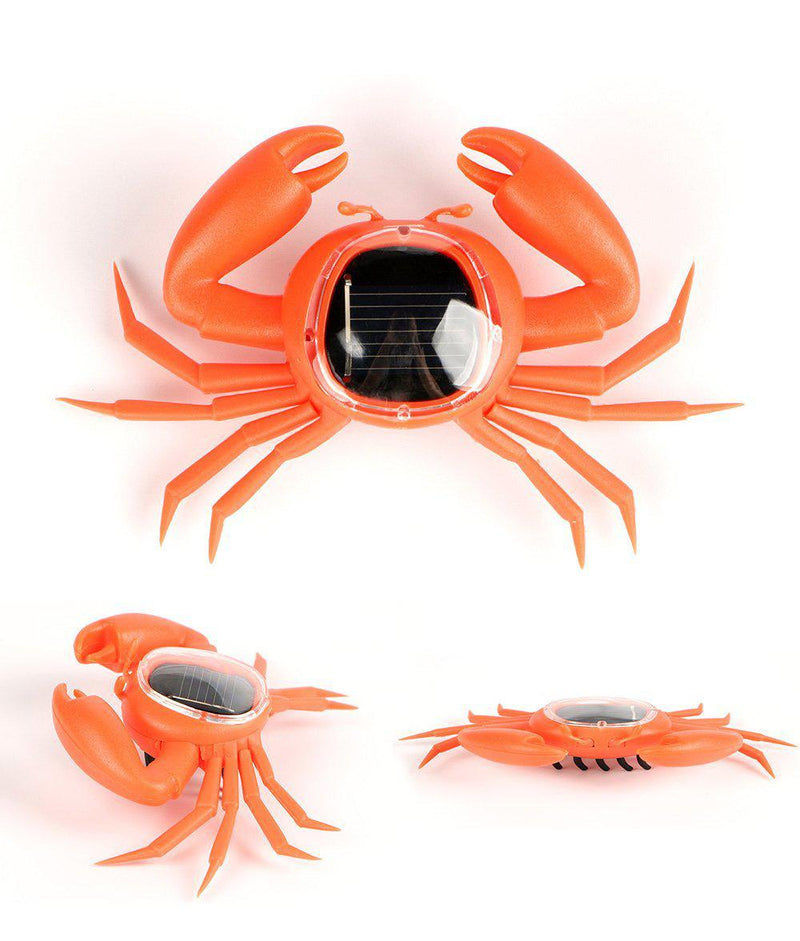 Animaux solaire Crabe de Mer