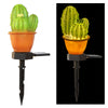 cactus lumineux solaire