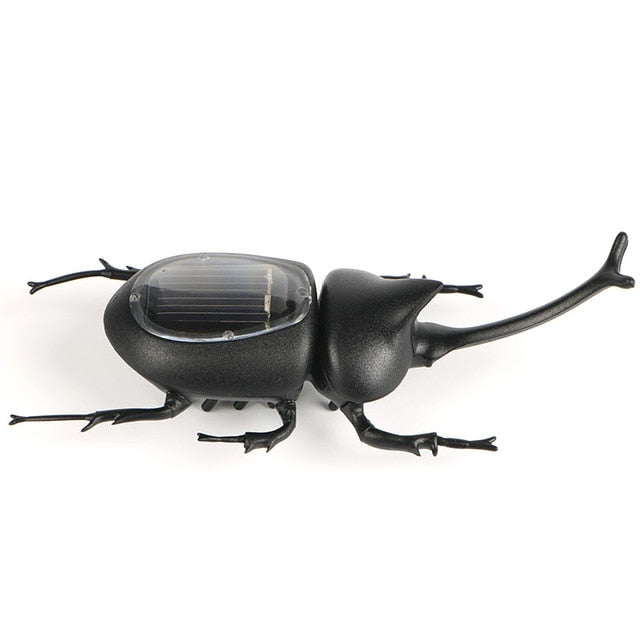 Gadget Solaire <br> Scarabée noire