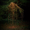 [product_mata_title] - Lampe Solar