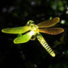 [product_mata_title] - Lampe Solar