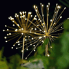 [product_mata_title] - Lampe Solar